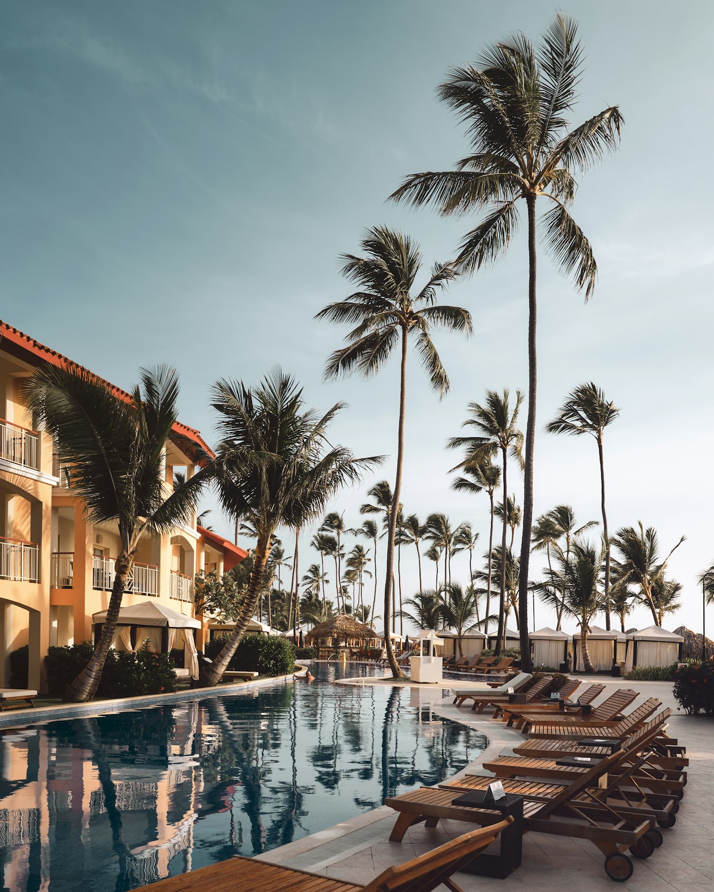 Palm-lined resort pool at golden hour with wooden loungers